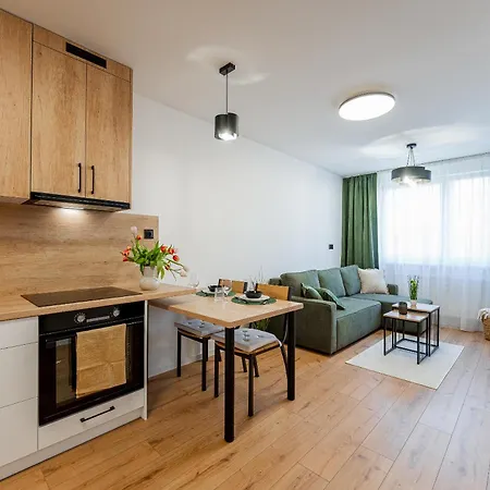 Kriva Center Apartment Kosice